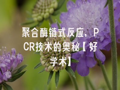聚合酶链式反应，PCR技术的奥秘【好学术】