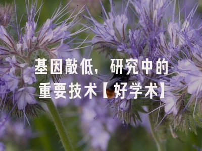 基因敲低，研究中的重要技术【好学术】