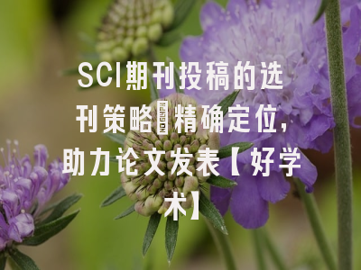 SCI期刊投稿的选刊策略：精确定位，助力论文发表【好学术】