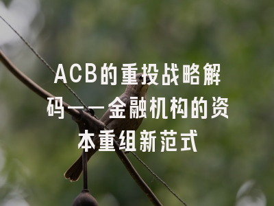 ACB的重投战略解码——金融机构的资本重组新范式