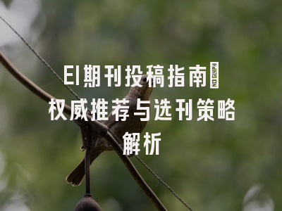 EI期刊投稿指南：权威推荐与选刊策略解析