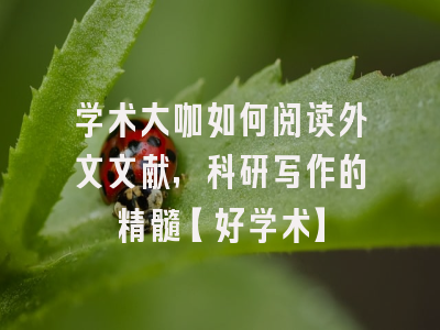 学术大咖如何阅读外文文献，科研写作的精髓【好学术】
