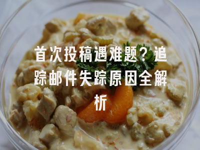 首次投稿遇难题？追踪邮件失踪原因全解析