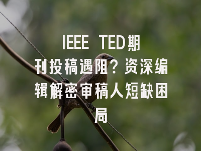 IEEE TED期刊投稿遇阻？资深编辑解密审稿人短缺困局