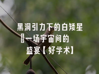 黑洞引力下的白矮星：一场宇宙间的饕餮盛宴【好学术】