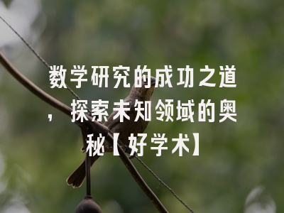 数学研究的成功之道，探索未知领域的奥秘【好学术】
