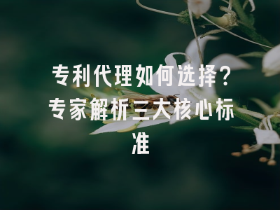 专利代理如何选择？专家解析三大核心标准
