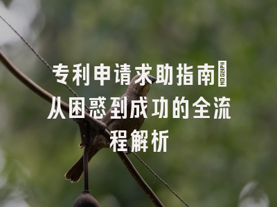 专利申请求助指南_从困惑到成功的全流程解析