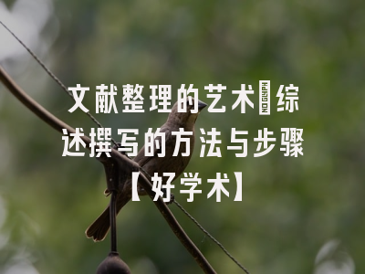 文献整理的艺术：综述撰写的方法与步骤【好学术】