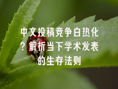 中文投稿竞争白热化？解析当下学术发表的生存法则