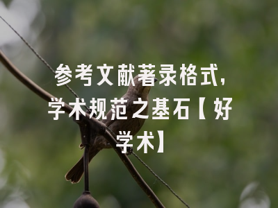 参考文献著录格式，学术规范之基石【好学术】