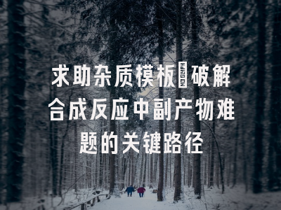 求助杂质模板：破解合成反应中副产物难题的关键路径