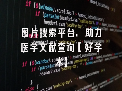 图片搜索平台，助力医学文献查询【好学术】