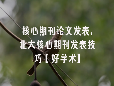 核心期刊论文发表，北大核心期刊发表技巧【好学术】