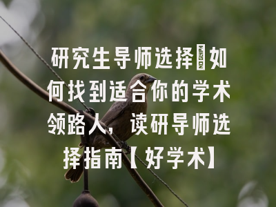 研究生导师选择：如何找到适合你的学术领路人，读研导师选择指南【好学术】