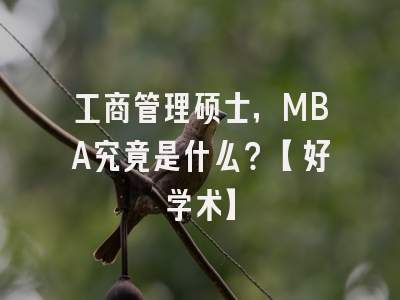 工商管理硕士，MBA究竟是什么？【好学术】