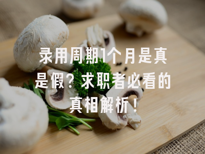 录用周期1个月是真是假？求职者必看的真相解析！