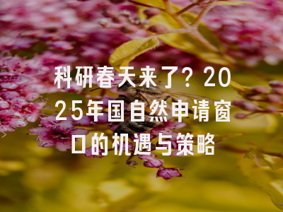 科研春天来了？2025年国自然申请窗口的机遇与策略