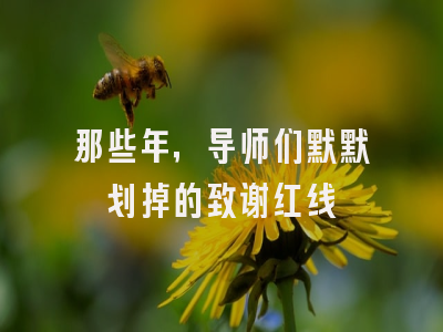 那些年，导师们默默划掉的致谢红线