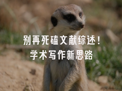 别再死磕文献综述！学术写作新思路