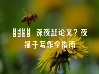 🌙 深夜赶论文？夜猫子写作全指南