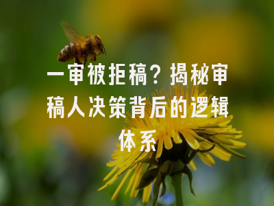 一审被拒稿？揭秘审稿人决策背后的逻辑体系