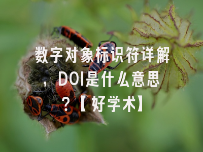 数字对象标识符详解，DOI是什么意思？【好学术】