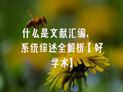 什么是文献汇编, 系统综述全解析【好学术】