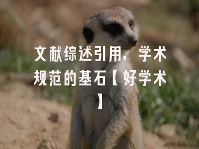 文献综述引用，学术规范的基石【好学术】
