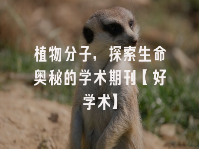 植物分子，探索生命奥秘的学术期刊【好学术】