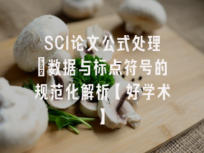 SCI论文公式处理：数据与标点符号的规范化解析【好学术】