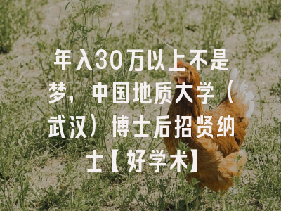 年入30万以上不是梦，中国地质大学（武汉）博士后招贤纳士【好学术】