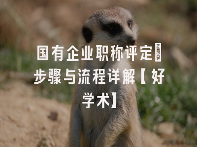 国有企业职称评定：步骤与流程详解【好学术】