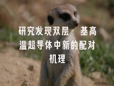 研究发现双层镍基高温超导体中新的配对机理