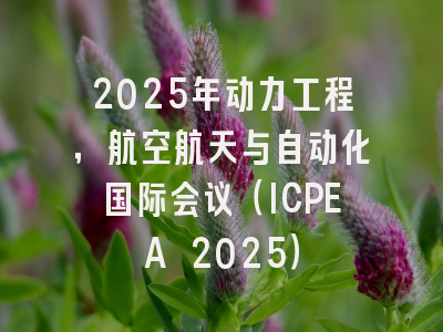 2025年动力工程，航空航天与自动化国际会议（ICPEA 2025）