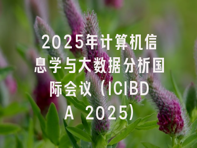 2025年计算机信息学与大数据分析国际会议（ICIBDA 2025）