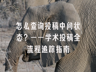 怎么查询投稿中间状态？——学术投稿全流程追踪指南