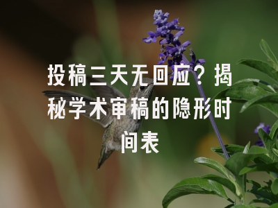 投稿三天无回应？揭秘学术审稿的隐形时间表