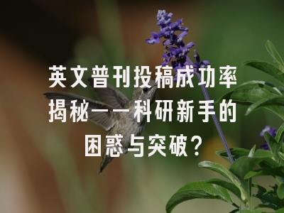 英文普刊投稿成功率揭秘——科研新手的困惑与突破？