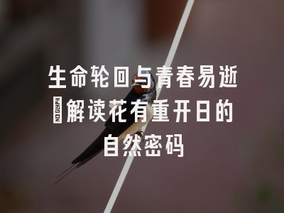 生命轮回与青春易逝：解读花有重开日的自然密码