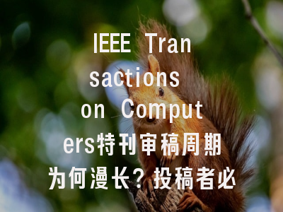 IEEE Transactions on Computers特刊审稿周期为何漫长？投稿者必须掌握的应对策略