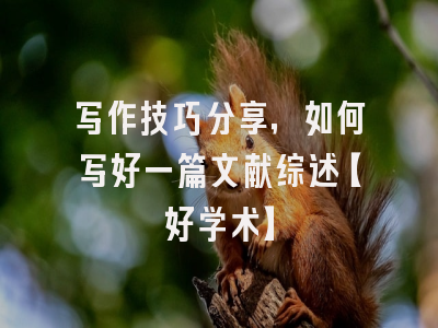 写作技巧分享，如何写好一篇文献综述【好学术】
