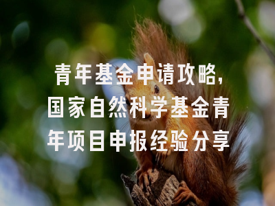 青年基金申请攻略，国家自然科学基金青年项目申报经验分享