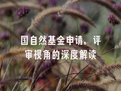 国自然基金申请，评审视角的深度解读
