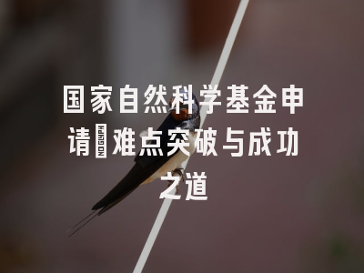 国家自然科学基金申请：难点突破与成功之道