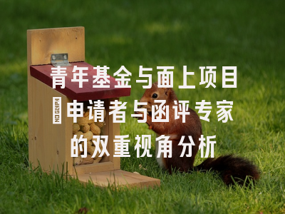 青年基金与面上项目：申请者与函评专家的双重视角分析