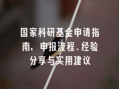 国家科研基金申请指南，申报流程、经验分享与实用建议