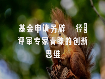 基金申请另辟蹊径：评审专家青睐的创新思维