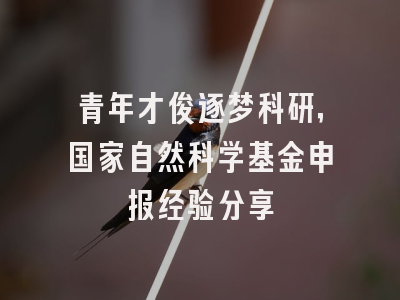 青年才俊逐梦科研，国家自然科学基金申报经验分享
