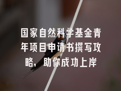 国家自然科学基金青年项目申请书撰写攻略，助你成功上岸